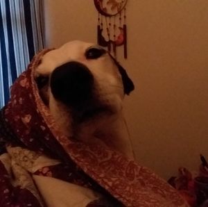 Meet your Posher, Vicky